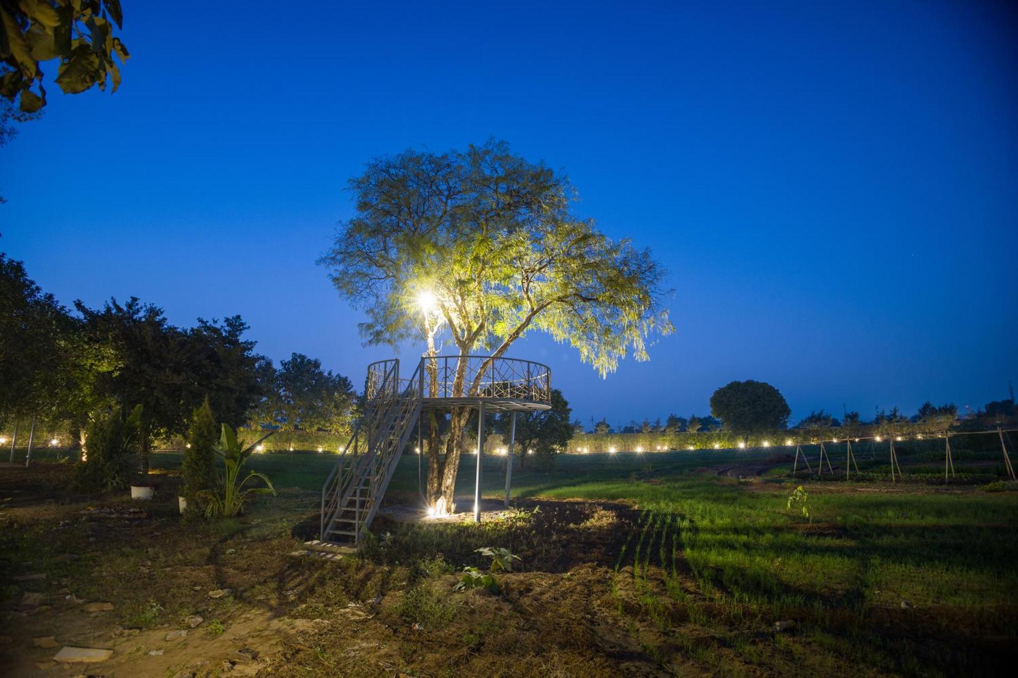 Elivaas Hidden Oasis 4Bhk With Pool, Mud House & Container House Villa Dhauj Bagian luar foto